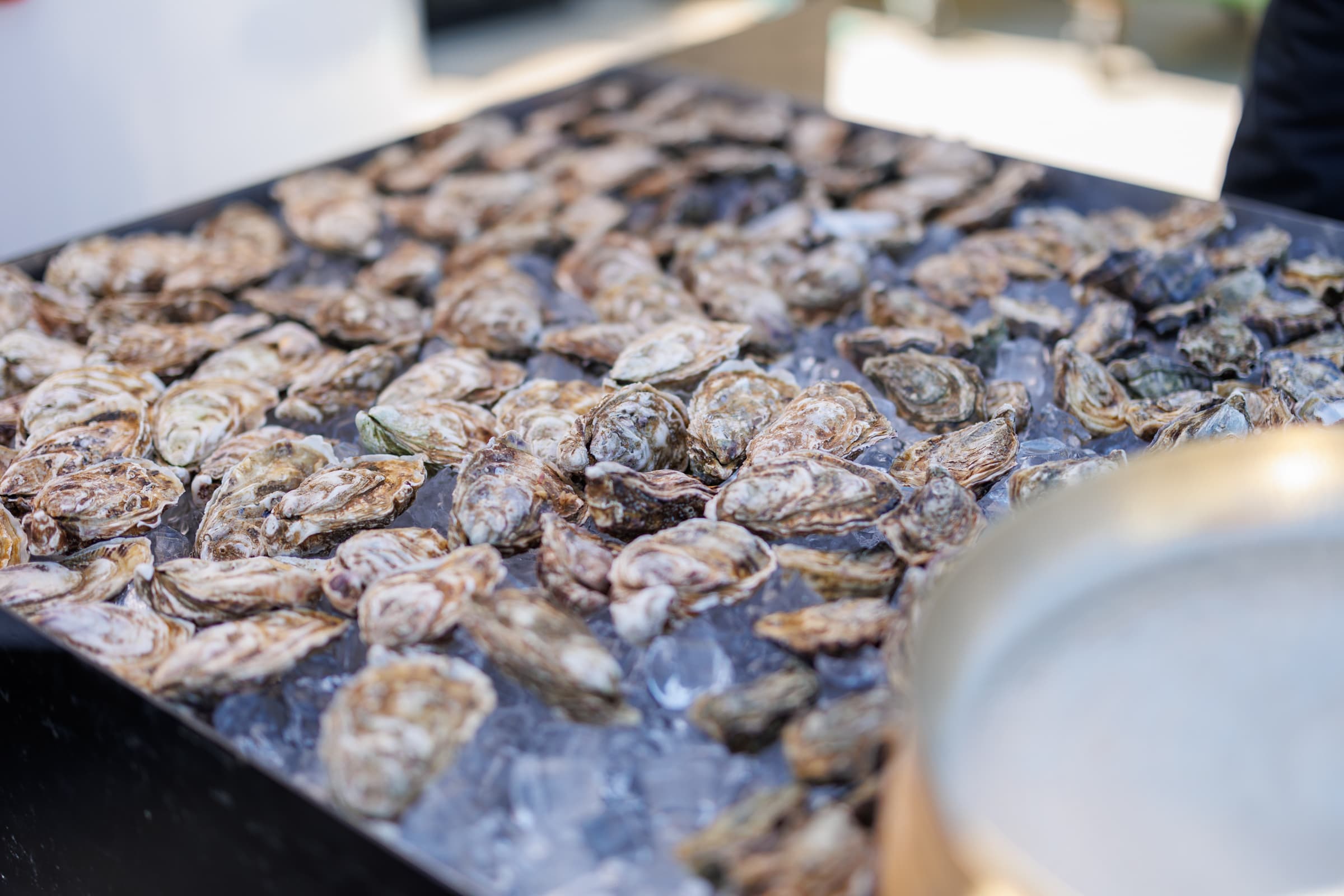 Slide 31 Plein Air Residence & Resort