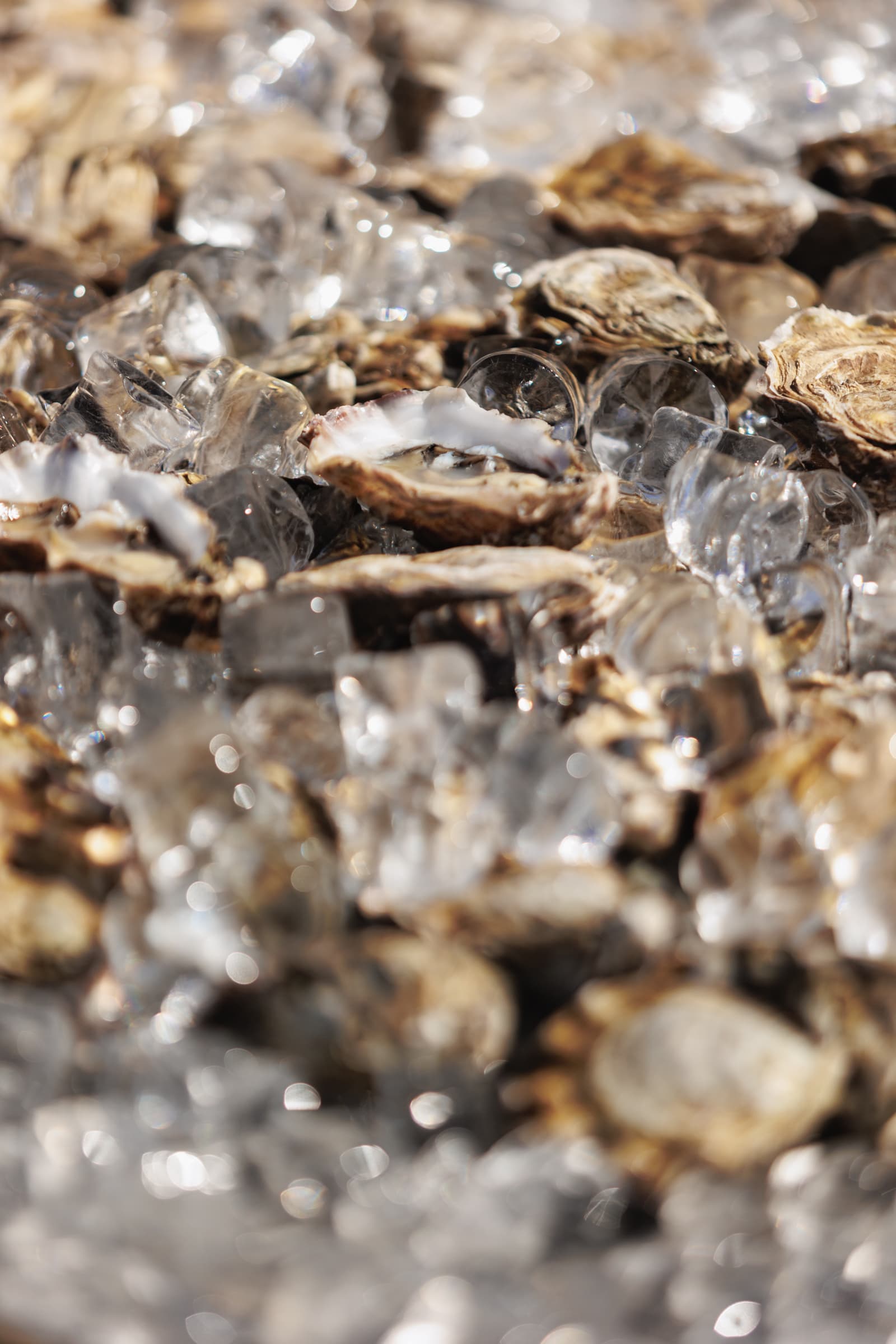 Image 80 Plein Air Residence & Resort gallery