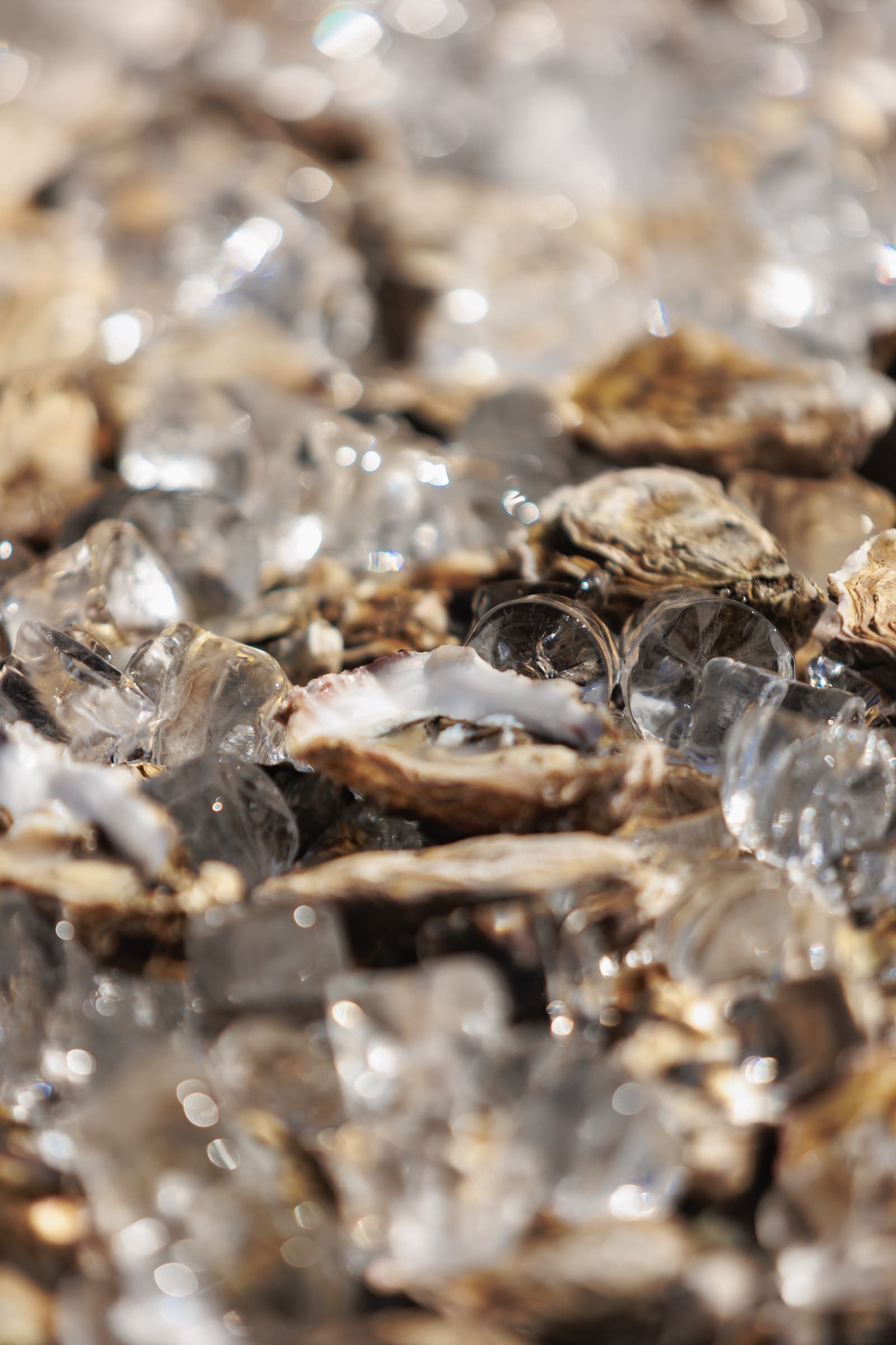 Image 81 Plein Air Residence & Resort gallery